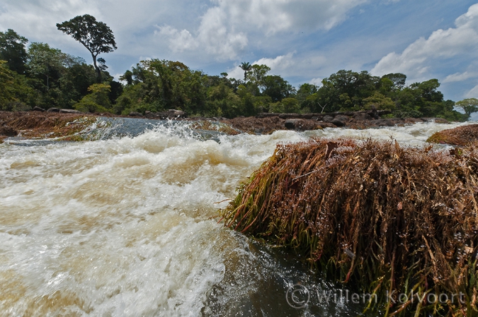 The Gran Dan rapid in the Gran Rio