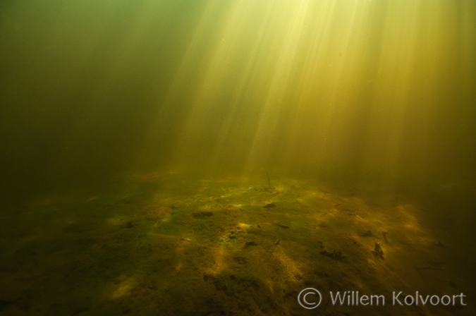 Onderwater in de Wieden.