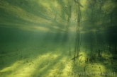 Underwater Landscapes