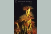 Australian tube-worm ( Ficopomatus enigmaticus )