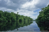 Wiruni creek in Guyana