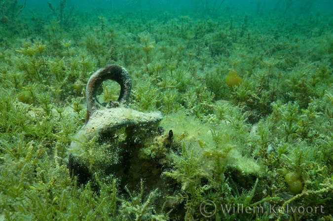 Archeologische resten uit Michovgrad