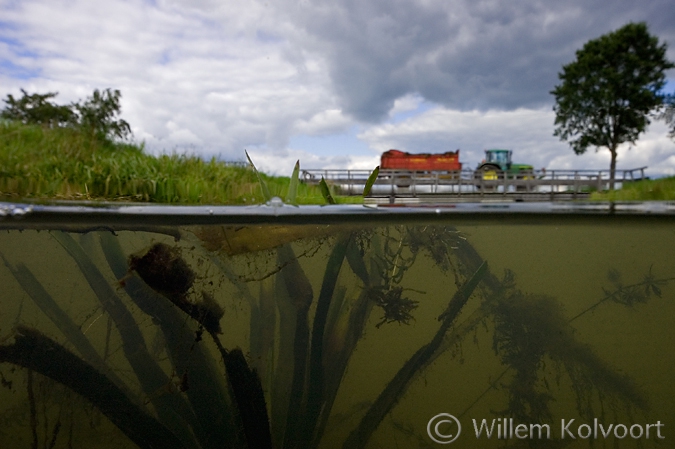 De Onderwaterfotografie Van Willem Kolvoort Foto S Nederland